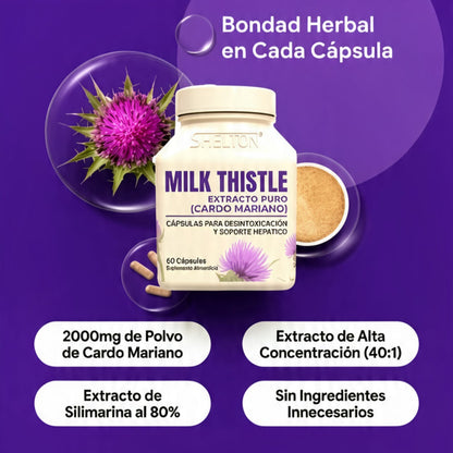 SUPLEMENTO DESINTOXICANTE-CARDO MARIANO 1000 MG – 60 CÁPSULAS