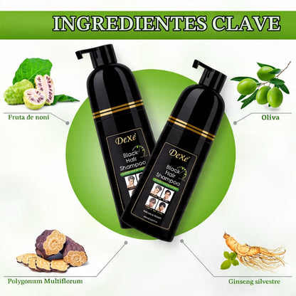 SHAMPOO TINTE DEXE NEGRO INSTANTÁNEO 400 ML